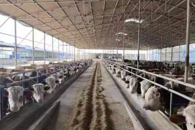 種植棚，養(yǎng)殖棚